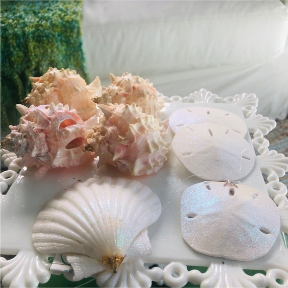 NEW! 🎄Pink White Seashell Christmas Tree Ornaments S/8 - Picture 3 of 7